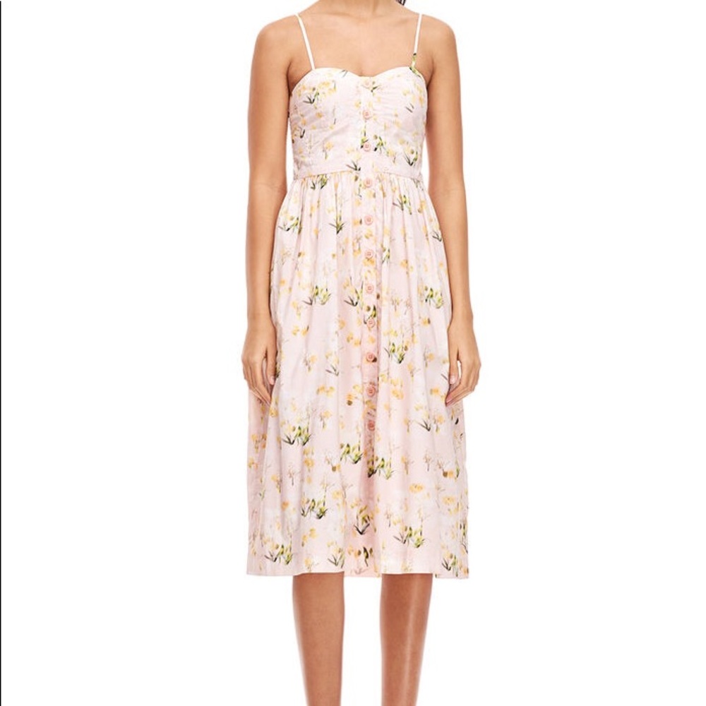 Rebecca Taylor Firefly Floral Button Down Dress